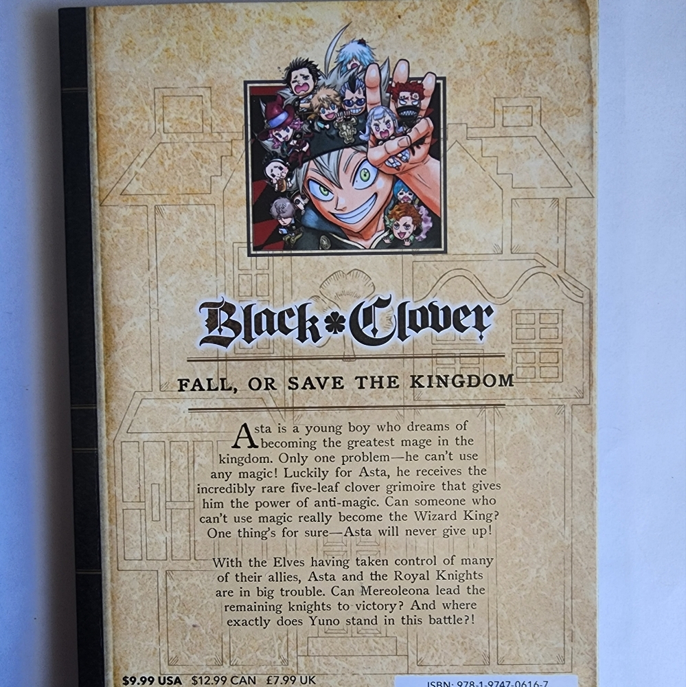 BLACK CLOVER V.17